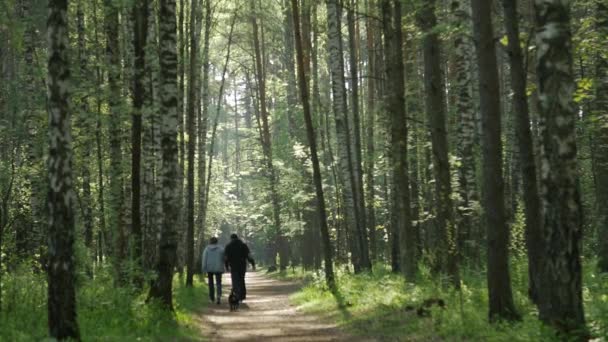A couple stroll through the forest with their dog. it is a cool, crisp morning. — Stock Video