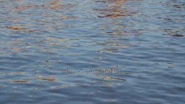 Su arka plan meditative ve hipnotik etkisi ile hareket sinematik.