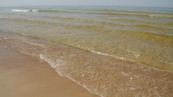 日当たりの良い夏の日にきれいな砂浜が広がるバルト海海岸. — ストック動画