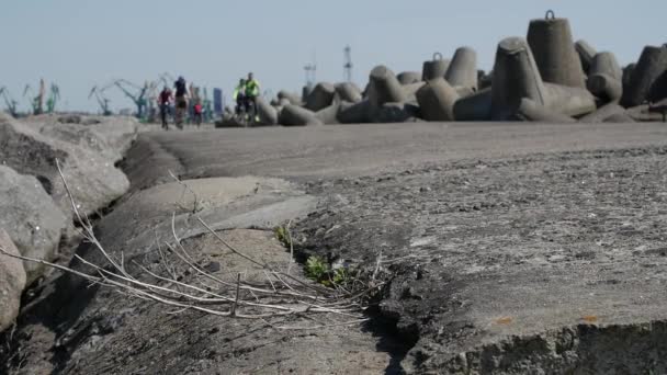 Gente montando en bicicleta en un muelle a la luz del sol . — Vídeos de Stock