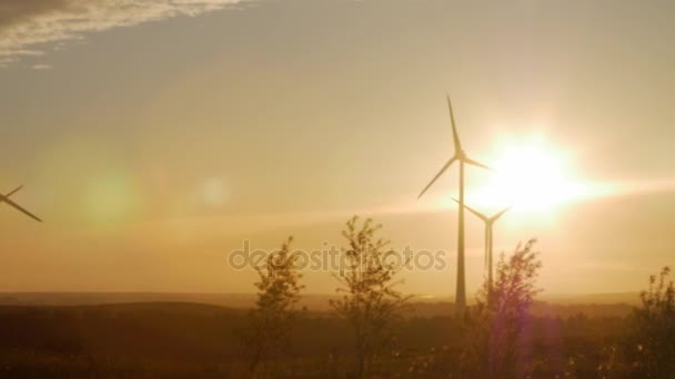 Wind turbine boerderij met stralen van licht bij zonsondergang — Stockvideo