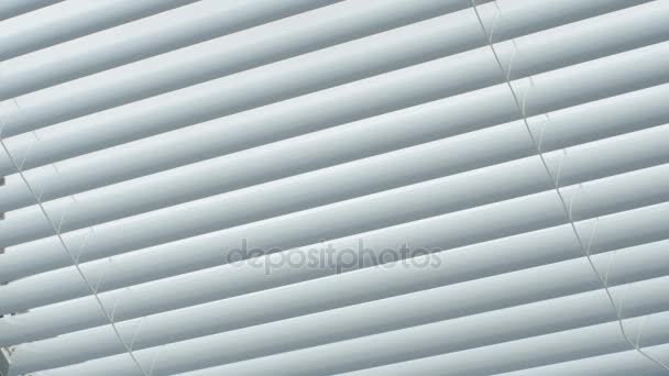 Closing and opening the blinds of the window. — Stock Footage Closing and opening the blinds of the window. Royalty Free Stock Footage