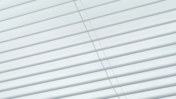 Closing and opening the blinds of the window. — Stock Footage Closing and opening the blinds of the window. Royalty Free Stock Video