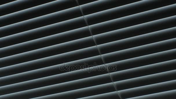 Closing and opening the blinds of the window. — Stock Footage Closing and opening the blinds of the window. Stock Video