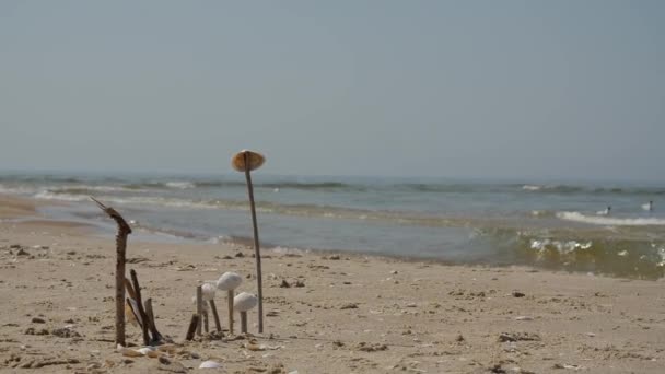 Sunny Beach, hullámok óvatosan fröccsen a finom homokfövenyes tengerparti strandtól, süt a nap. — Stock videók