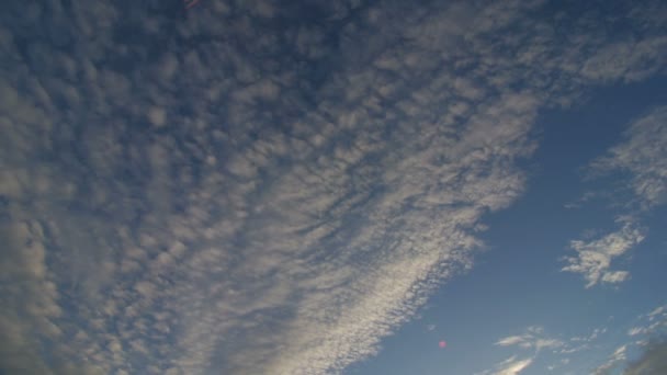 Paisaje de energía eólica al atardecer . — Vídeos de Stock