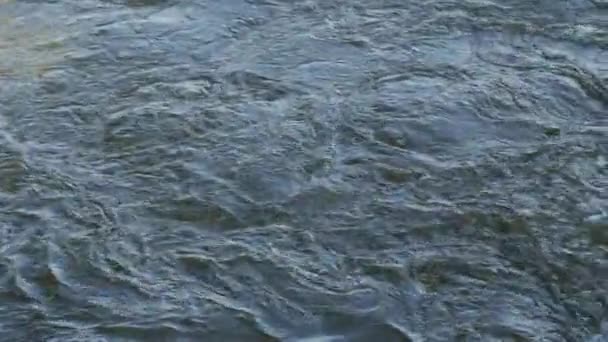 Water textuur met marmeren patroon in de sporen van bewegende veerboot — Stockvideo