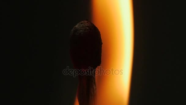 Match verlichting een andere delen van vuur, branden stick close-up — Stockvideo