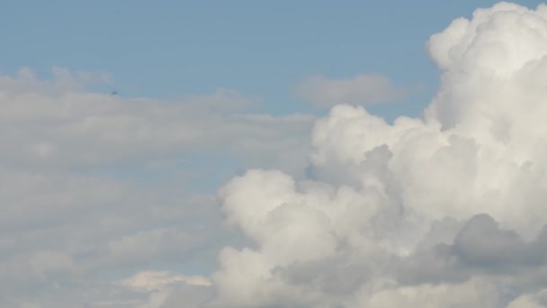 Time lapse klipp av vita fluffiga moln över blå himmel — Stockvideo