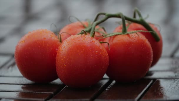 Tropfen auf reife Tomaten. Nahaufnahme. — Stockvideo