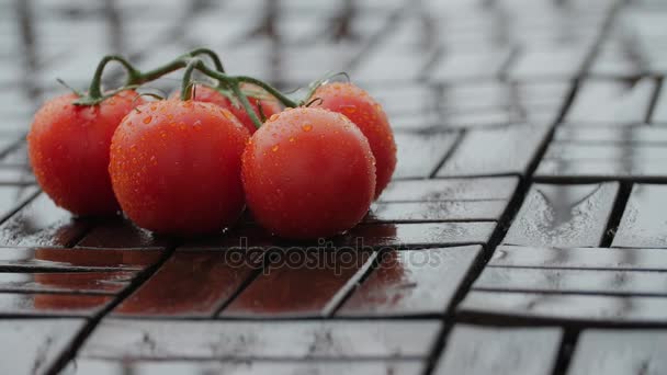 Wasser fließt auf roten Tomaten. — Stockvideo