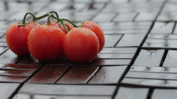 Wasser fließt auf roten Tomaten. — Stockvideo