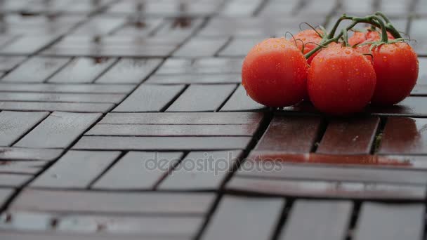 Waterstromen op rode tomaten. — Stockvideo