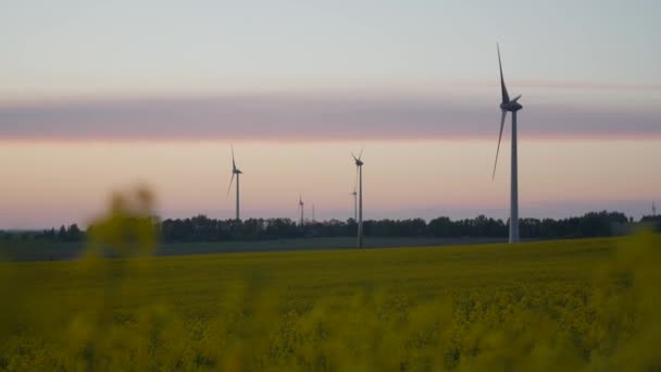 Ветряные турбины с лучами света на закате — стоковое видео