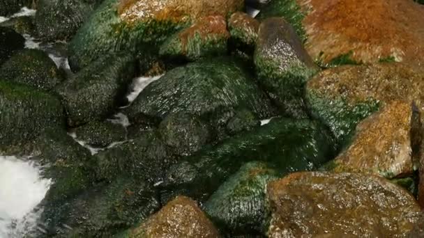 Las olas rompen alrededor de las rocas en el mar. Pequeñas olas y piedras redondas . — Vídeos de Stock