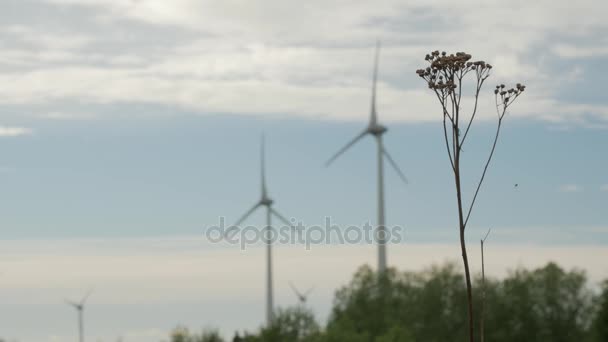 Parque eólico, generadores de energía eléctrica, en el campo sobre fondo cielo nublado . — Vídeos de Stock