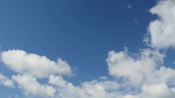 Ciel avec des nuages blancs — Video