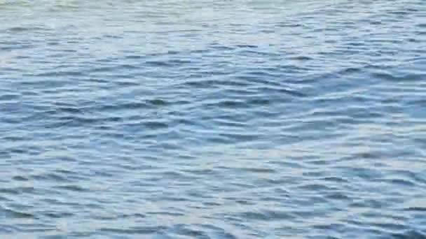 vue rapprochée de la surface ondulée de l'eau 