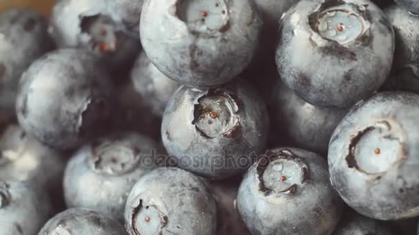 新鲜、 成熟的蓝色浆果旋转，野生浆果。关闭 — 图库视频影像