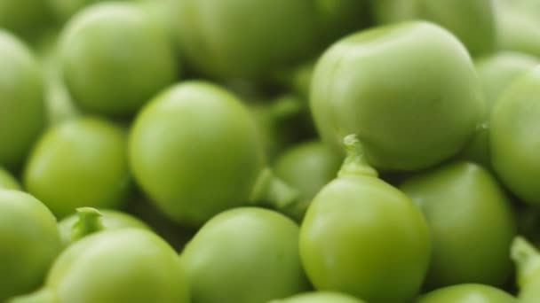 Los guisantes verdes frescos rotan. De cerca. — Vídeo de stock