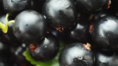 Olgun lezzetli üzümü closeup döndürme.