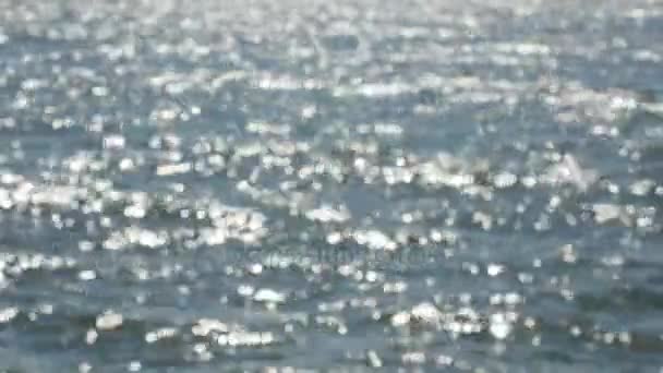 Επιφάνεια ύδατος με κύματα λαμπερή και να λαμπυρίζουν στον ήλιο. — Αρχείο Βίντεο
