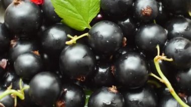 Olgun lezzetli üzümü closeup döndürme.