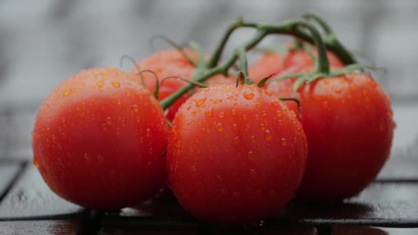 Druppels op rijpe tomaten. Close-up. — Stockvideo