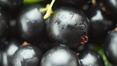 Olgun lezzetli üzümü closeup döndürme.