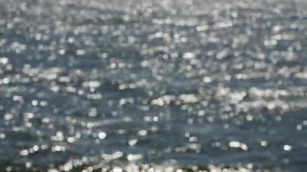 Surface de l'eau avec des vagues scintillantes et chatoyantes au soleil . — Video