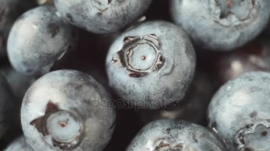 Taze, olgun mavi döndürme, vahşi berry çilek. Yakın çekim