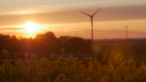 Windturbines boerderijen met stralen van licht bij zonsondergang — Stockvideo