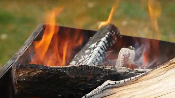 Leña y carbón caliente en una parrilla, quema de fuego para la carne cocida . — Vídeo de stock