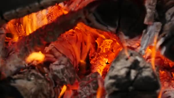 Leña y carbón caliente en una parrilla, quema de fuego para la carne cocida . — Vídeo de stock