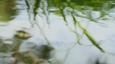 soyut yeşil doğa arkaplanı