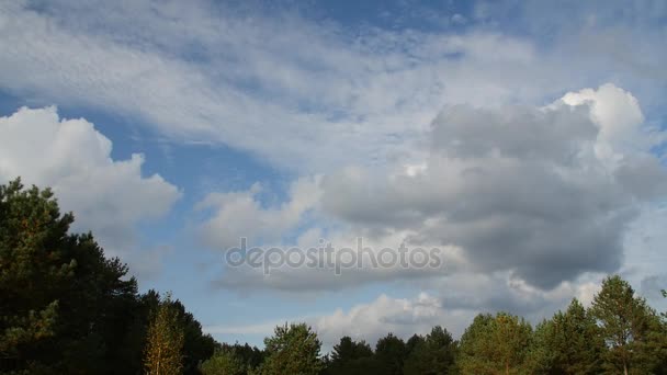 Nuvens Timelapse sobre a floresta . — Vídeo de Stock