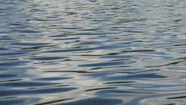 Close up van de kalme blauwe water van een meer. — Stockvideo