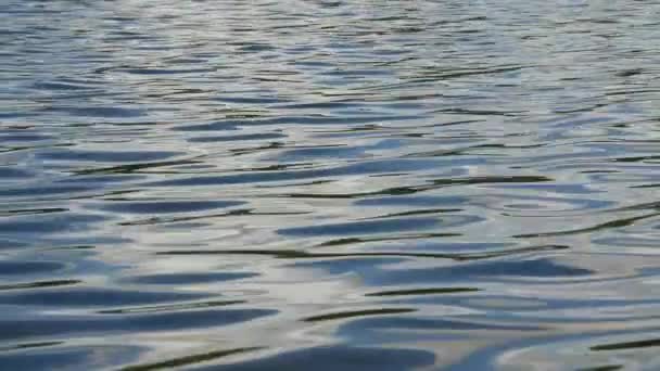 Close up of the calm blue water of a lake. — Stock Video