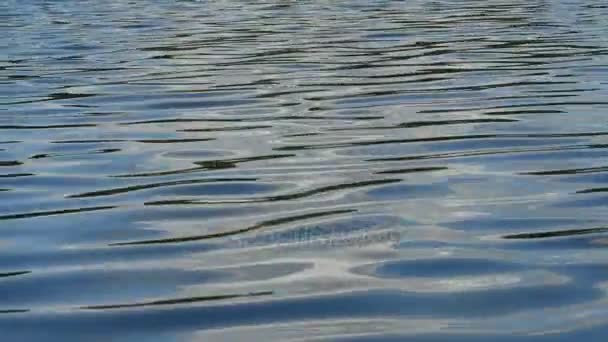 Primer plano de las aguas tranquilas de un lago . — Vídeos de Stock