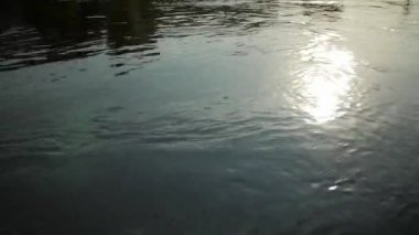 Güneş ışığı yansıması nehir.