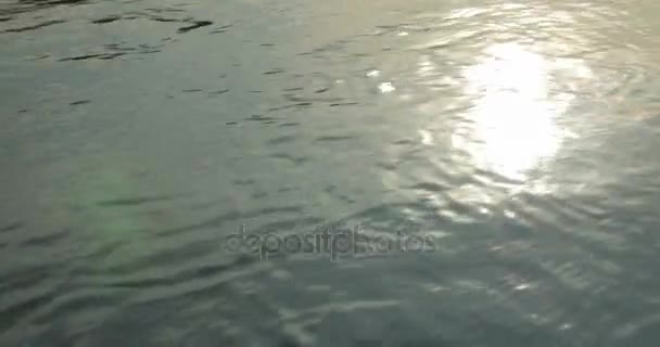 Reflectie van het zonlicht in de rivier. — Stockvideo