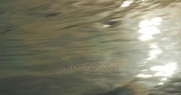 Reflectie van het zonlicht in de rivier. — Stockvideo