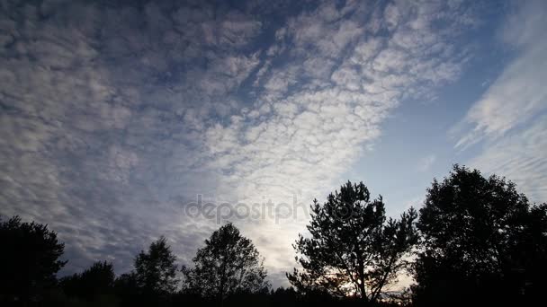 Nuvole di timelapse sopra la foresta . — Video Stock