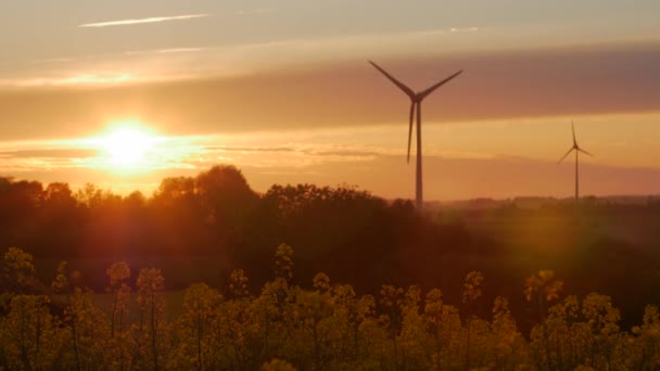 Wind turbines farms with rays of light at sunset — Stock Video