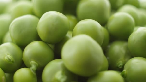 新鮮な緑のエンドウ豆が回転する。閉じろ! — ストック動画