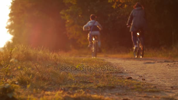 Biciclista andando de bicicleta no parque outonal ao pôr-do-sol — Vídeo de Stock