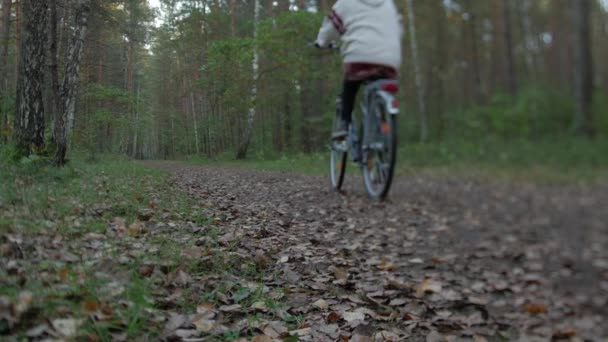 Οπίσθια όψη του ποδηλάτη, ποδηλασία μέσα από το δάσος σε μια φθινοπωρινή μέρα — Αρχείο Βίντεο