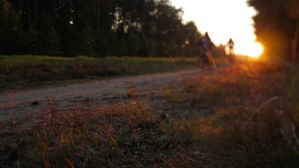 Onherkenbaar fietser een fiets in herfst park bij zonsondergang, slow-motion — Stockvideo