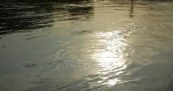 Reflejo de luz solar en río . — Vídeos de Stock