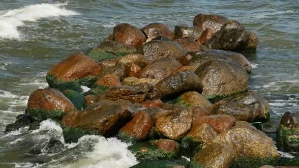 Spruzzi di acqua di mare sulle rocce della riva del mare . — Video Stock